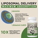 liposomal-coq10-800mg-1pcs-bundle-with-u-4.jpg