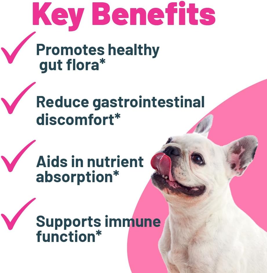 buddy-biotics-probiotic-prebiotic-for-do-2.jpg