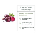 eclectic-herb-beet-juice-powder-170-gram-5.jpg