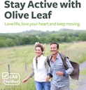 olive-leaf-extract-non-gmo-super-strengt-3.jpg