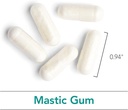 nutricology-mastic-gum-dietary-supplemen-5.jpg