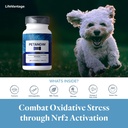 petandim-dog-vitamins-30-chewable-tablet-5.jpg