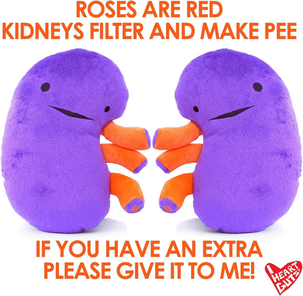 i-heart-guts-kidney-plush-9-educational--5.jpg