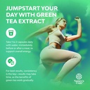 green-tea-extract-capsules---500mg-pure--4.jpg