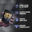 alpha-lion-core-pre-workout-powder-bundl-2.jpg