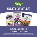 natures-way-sambucus-elderberry-nighttim-5.jpg