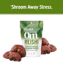 om-mushroom-superfood-reishi-organic-mus-3.jpg