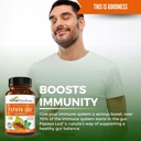 papaya-leaf-extract-digestive-enzymes----3.jpg