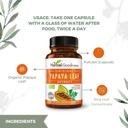 papaya-leaf-extract-digestive-enzymes----5.jpg
