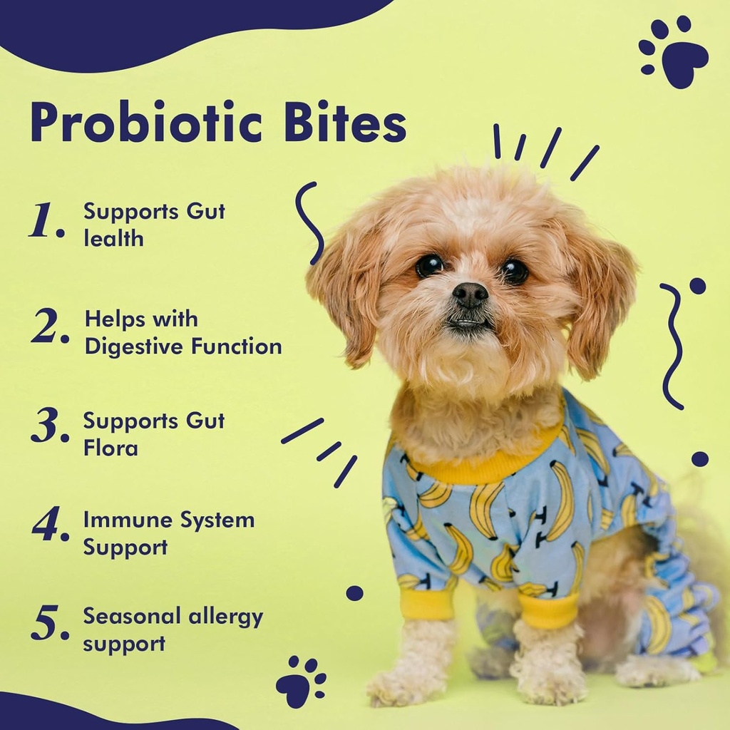 probiotics-for-dogs--dog-probiotics-for--3.jpg