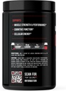 jocko-fuel-gym-bundle---creatine-nitro-p-3.jpg