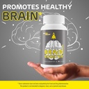 best-nootropic-brain-booster---for-memor-5.jpg