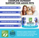 only-natural-pet-senior-brain-wellness-d-2.jpg