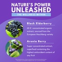 bold-botanica-elderberry-plus---65x-conc-5.jpg