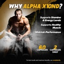 2-pack-alpha-x10nd-ultra-for-men-officia-4.jpg
