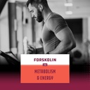 bundle-of-natural-pre-workout-forskolin--6.jpg