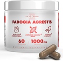 fadogia-agrestis-1000mg-per-serving-supp-2.jpg