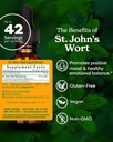 herb-pharm-st-johns-wort-liquid-extract--2.jpg