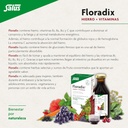 flora-floradix-iron-herbs-natural-liquid-4.jpg