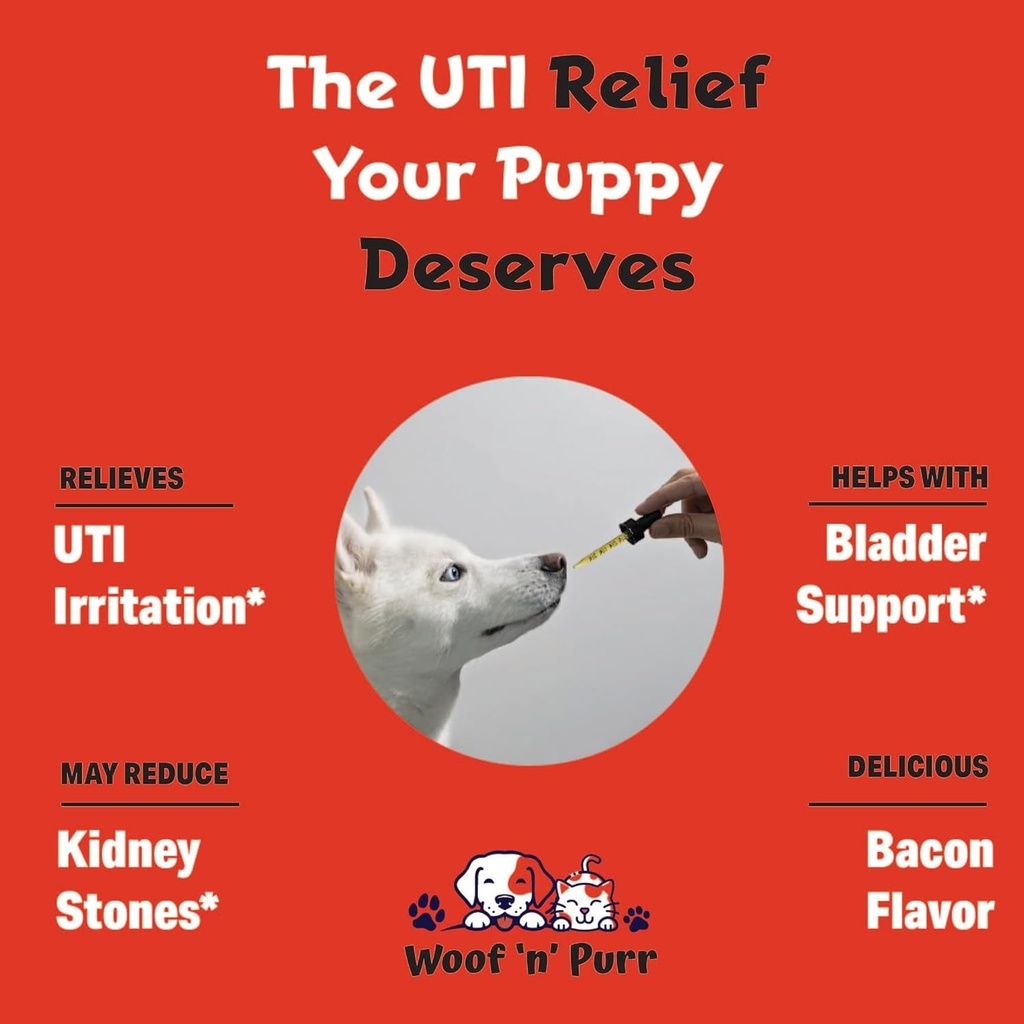 natural-dog-uti-treatment---dog-uti---do-3.jpg