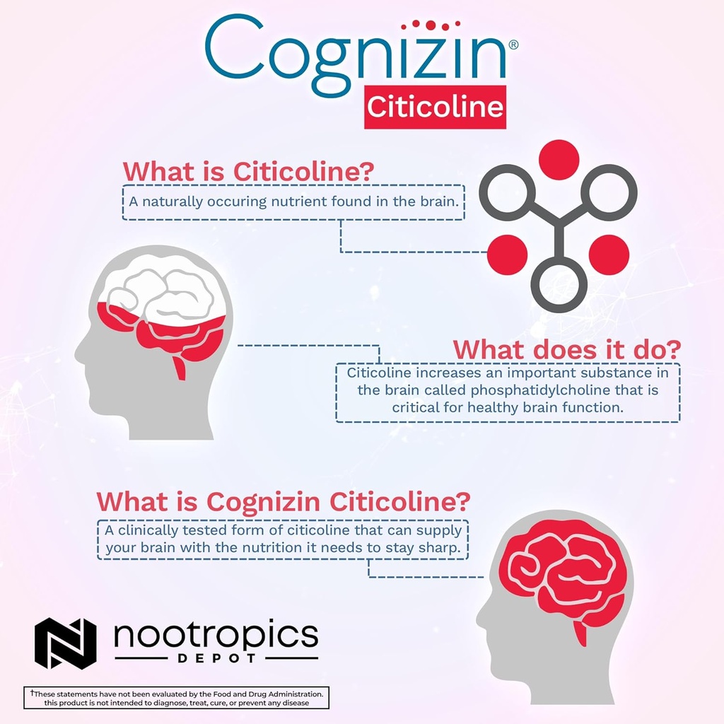 nootropics-depot-cognizin-citicoline-cap-5.jpg