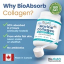 bio-absorb-marine-collagen-powder-extra--2.jpg