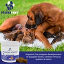 dog-prenatal-vitamins---supports-healthy-2.jpg