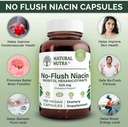 natural-nutra-no-flush-niacin-vitamin-b3-3.jpg