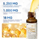 fine-japan-liquid-collagen-with-swallows-4.jpg
