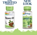 solaray-slippery-elm-bark-capsules-ulmus-2.jpg