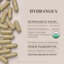 hydrangea-usda-organic-120-capsules-high-3.jpg