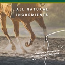 corta-flx-u-gard-powder-equine-digestive-5.jpg