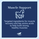 muscle-eqTM-powder-muscle-supplement-wit-4.jpg