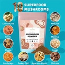 10-mushrooms-extract-powder-mushroom-sup-3.jpg