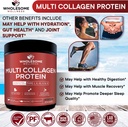 wholesome-wellness-multi-collagen-protei-6.jpg