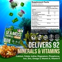joyli-nutrition-2-pack---sea-moss-gummie-3.jpg