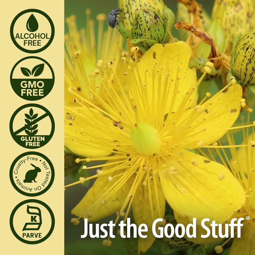 natures-answer-st-johns-wort-alcohol-fre-5.jpg