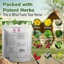 silver-lining-herbs-mare-moods-horse-cal-3.jpg
