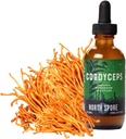 north-spore-cordyceps-mushroom-extract-t-3.jpg