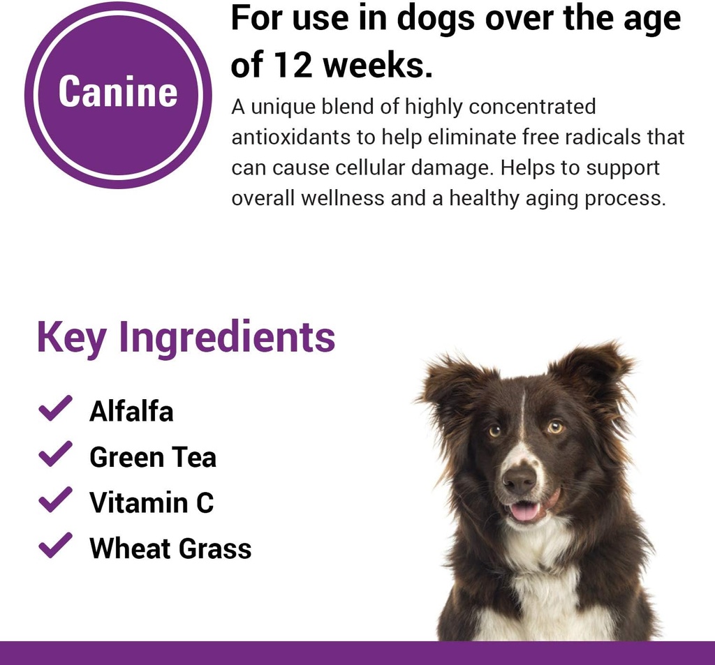 vet-classics-antioxidants-with-coenzyme--5.jpg