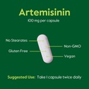 bestvite-artemisinin-100mg-240-vegetaria-5.jpg