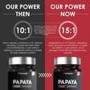 papaya-leaf-extract-digestive-enzymes-10-6.jpg