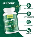 1000-mg-gentle-detox-cleanse-natural-tox-6.jpg