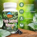 plant-sourced-minerals-60-capsules-organ-3.jpg
