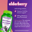vitafusion-elderberry-gummy-vitamins-90c-2.jpg