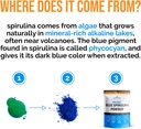 organic-blue-spirulina-powder-120-servin-6.jpg