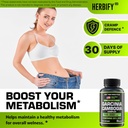 herbify-garcinia-cambogia-wellness-suppo-2.jpg