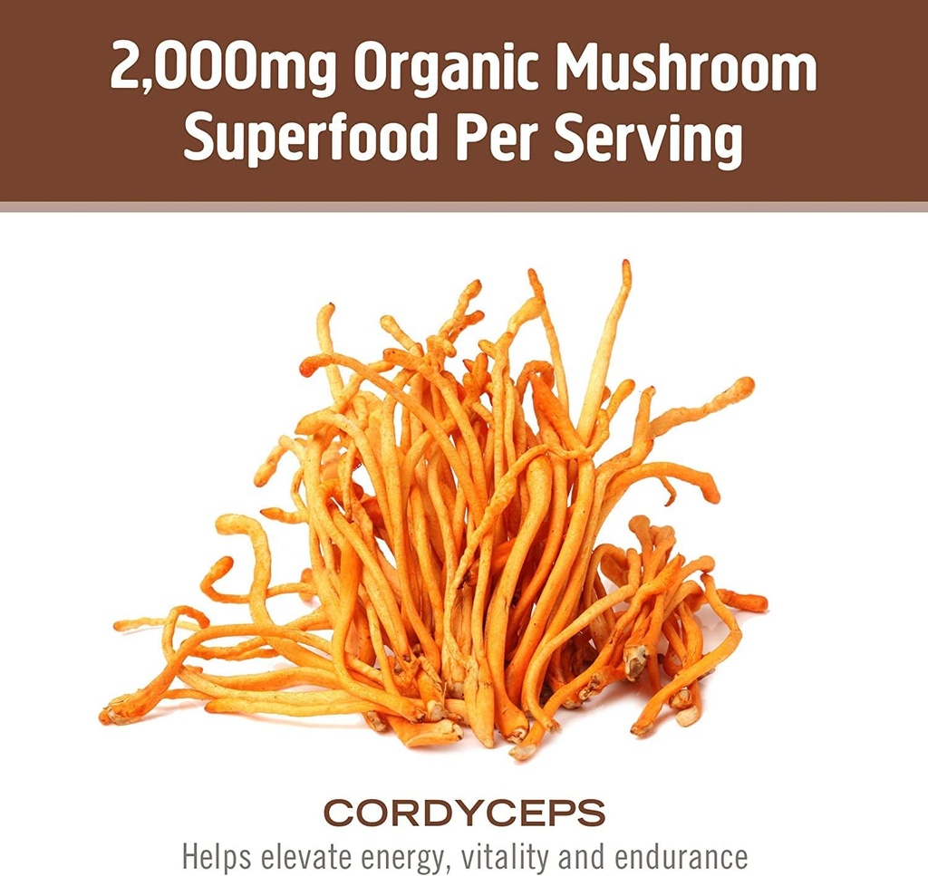 om-mushroom-superfood-cordyceps-mushroom-6.jpg