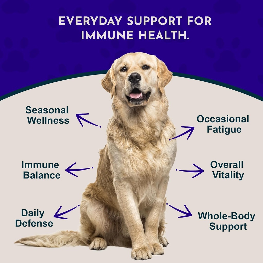 animal-essentials-super-immune-for-dogs--2.jpg
