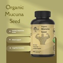 mucuna-pruriens-herbal-dietary-supplemen-3.jpg